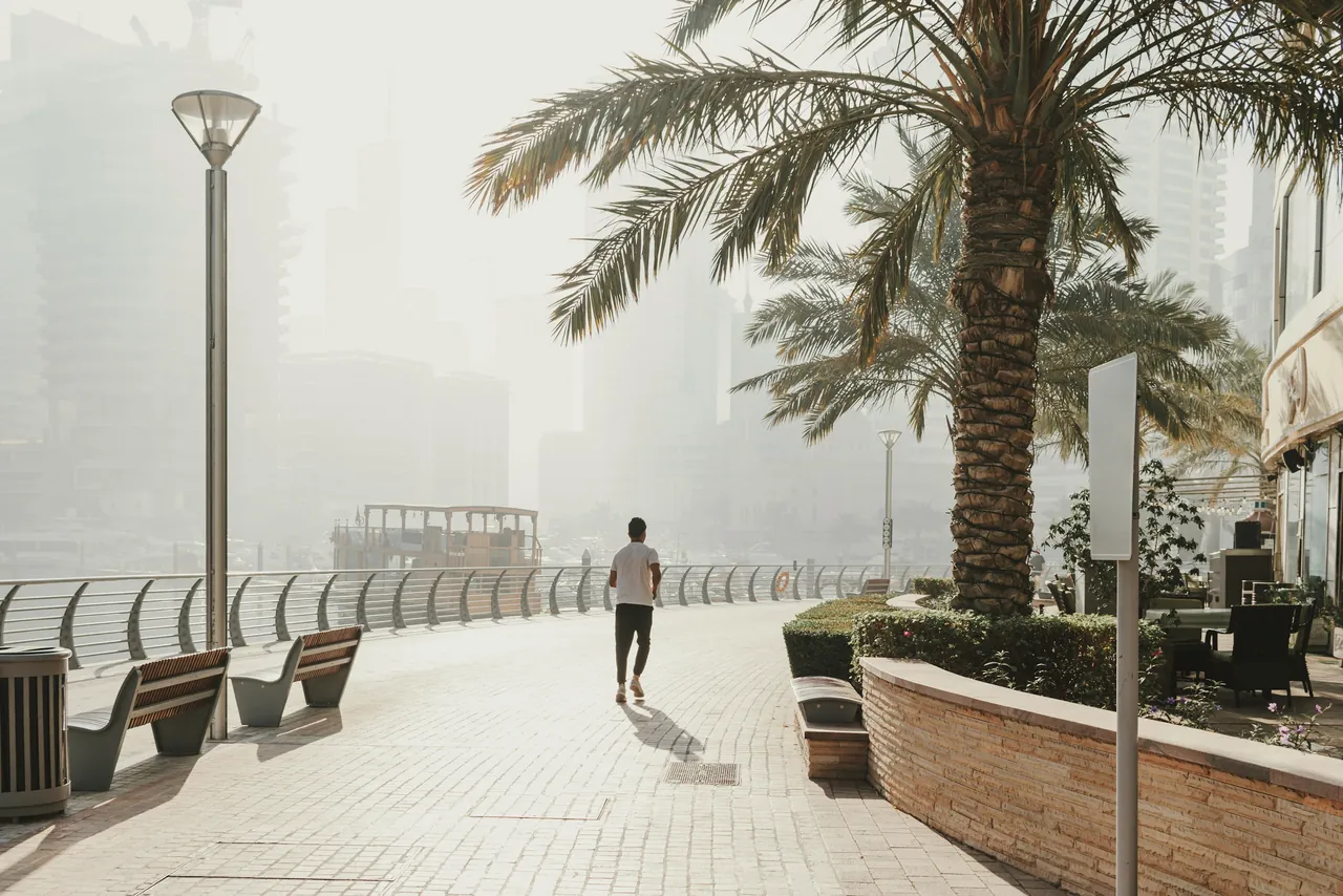 A runner on a waterfront promenade in morning haze, palms and a moored dhow